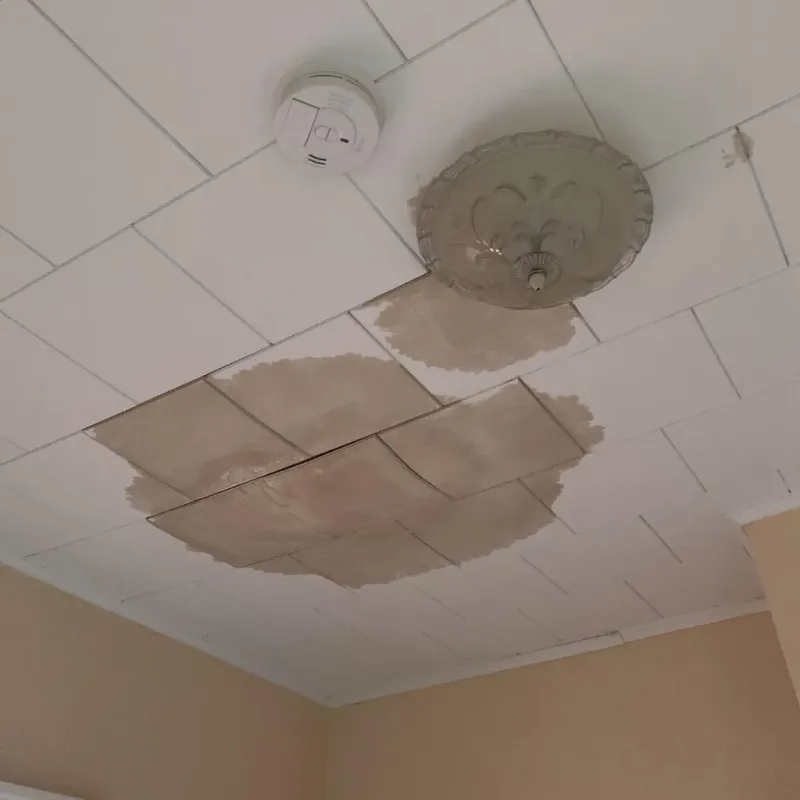Ceiling Water Damage Repair in Champaign County, OH