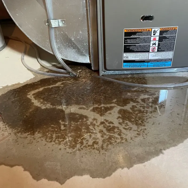 Pipe Burst and Leak Restoration in Champaign County, OH