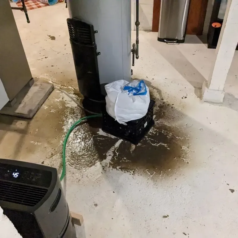 Sewage Backup Cleanup Service in Champaign County, OH